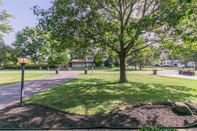 Front Yard/Neighbors