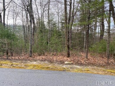 Lot 20 E Ridge Rd, Cashiers, NC 28717 - photo 4
