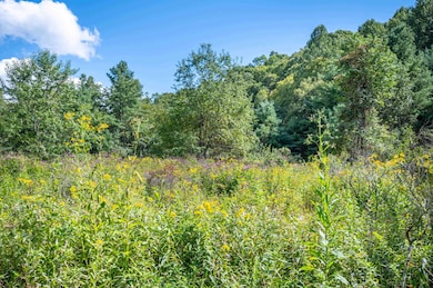 1286 Cox Store Rd SW, Floyd, VA 24091 - photo 2