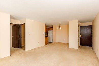 Bella Vista Condominiums unit 44, Fitchburg, MA 01420 - photo 7