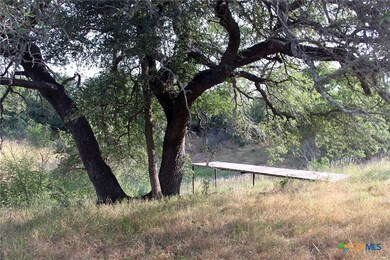 6020 Farm To Market Road 3158, Dale, TX 78616 - photo 4