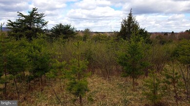 0 Orion Ct unit WVMO2001398, Berkeley Springs, WV 25411 - photo 3