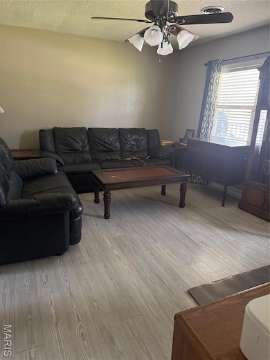 1013 Susan St, Dexter, MO 63841 - photo 2