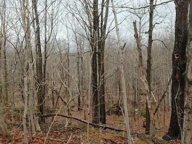 0 W St Ann St W unit 203644, St. Regis Falls, NY 12980 - photo 2