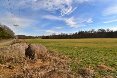 565 Cedar Creek Rd, Linden, TN 37096 - photo 7