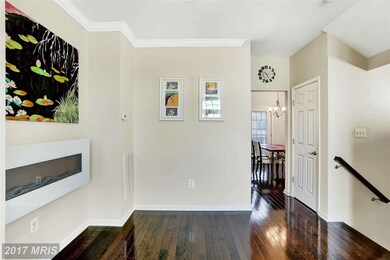 25120 Elwen Terrace, Chantilly, VA 20152 - photo 7