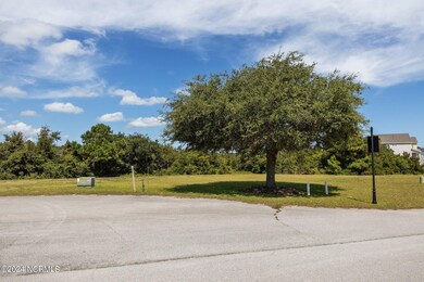 110 Marshland Cir, White Oak, NC 28570 - photo 6