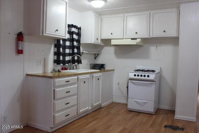 303 S Recker Rd, Mesa, AZ 85206 - photo 4