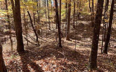 00 Ravencliff Rd, Talking Rock, GA 30175 - photo 4