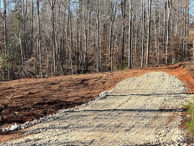 000 Hudlow Rd unit 3, Forest City, NC 28043 - photo 3