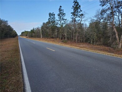 0 SE 30th St unit OM613989, Morriston, FL 32668 - photo 3