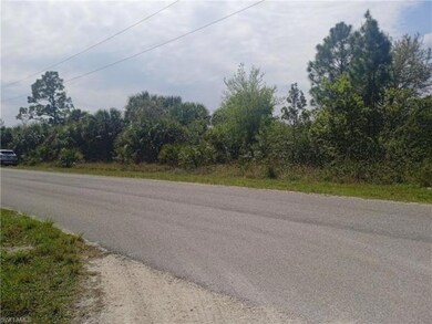 2605 Hanna Ave N, Lehigh Acres, FL 33971 - photo 3