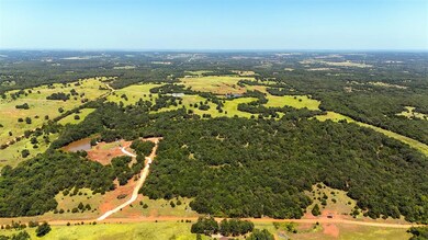 Drone View