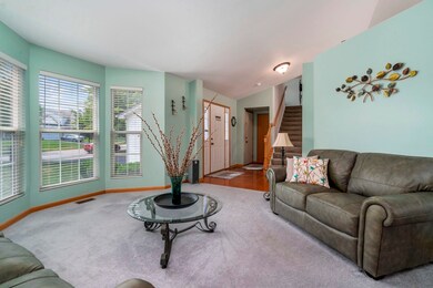 24246 W Walnut Cir, Plainfield, IL 60585 - photo 4