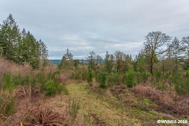 Valley View Parcel 2 (4 56 Acre) Dr, Scio, OR 97374 - photo 2