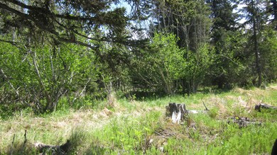 Nice Acreage