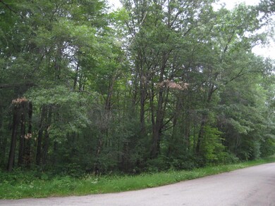 Lot 4 Algoma St unit Badger Avenue, Stevens Point, WI 54482 - photo 4