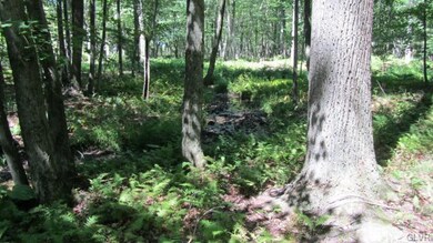 1135 N Mink Rd, Danielsville, PA 18038 - photo 4