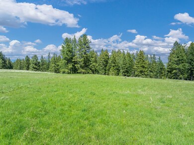 85388 Buford Rd, Enterprise, OR 97828 - photo 6