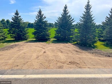 15XX3 60th St SW, Cokato, MN 55321 - photo 7