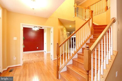 8009 Dorado Terrace, Brandywine, MD 20613 - photo 4