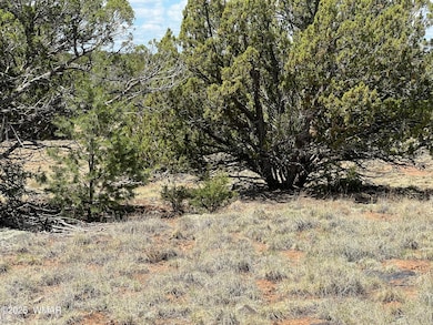 0 8309, Concho, AZ 85924 - photo 2