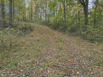 6-web-or-mls-DJI_0956