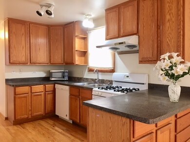 4805 S Union Ave, Chicago, IL 60609 - photo 6