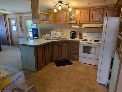 10750 Wales Loop, Bonita Springs, FL 34135 - photo 7