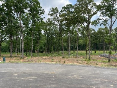 0 Orchard Hill Lot 2 Ph 2 unit 22016541, Conway, AR 72034 - photo 5