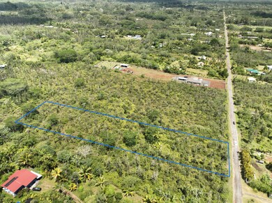 0 36th Ave unit 723518, Keaau, HI 96749 - photo 6