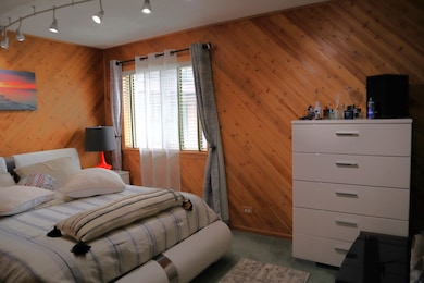 4829 W 109th St unit 203, Oak Lawn, IL 60453 - photo 6