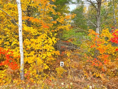 14859 N Whitefish Point Rd, Paradise, MI 49768 - photo 2