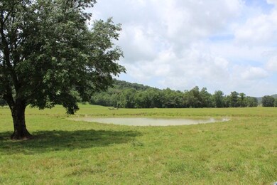 4325 J E Bartlett Rd, Cookeville, TN 38506 - photo 4