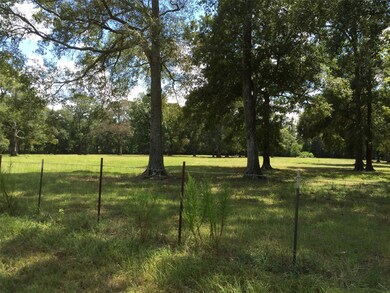 0 Buck Knoll Rd E, Splendora, TX 77372 - photo 6