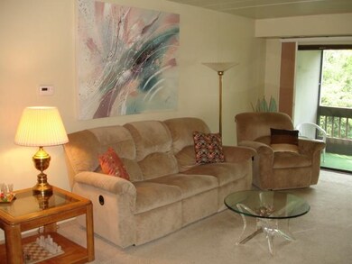 Living Room. One more view of the beautiful neutra