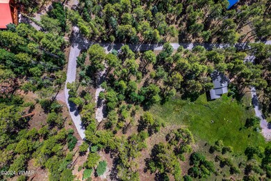 7 N1063, Greer, AZ 85927 - photo 7