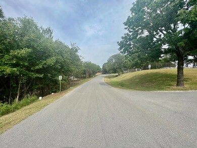 51 Summer, Kimberling City, MO 65686 - photo 5