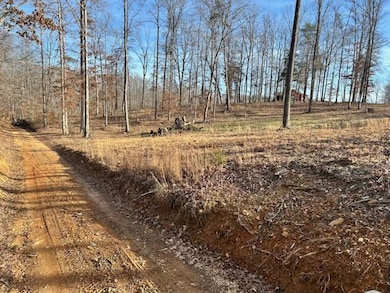 Access various creeks down Pumpkin Branch Road within walking distance.