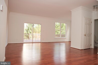 25338 Mcintyre Square, Chantilly, VA 20152 - photo 7