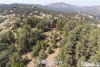 21455 Saddleback Rd, Reno, NV 89521 - photo 4