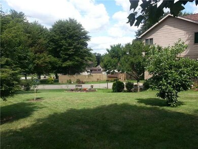 Yard/Garden.