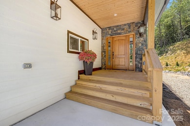 115 Nader Ave, Weaverville, NC 28787 - photo 5