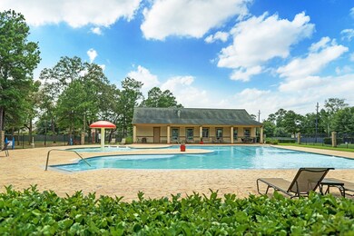 18875 Cedar Birch Ln, Magnolia, TX 77355 - photo 5