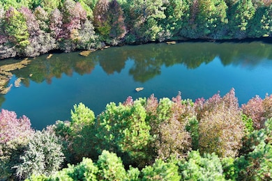 Lot 131 Metompkin Rd unit 131, Parksley, VA 23421 - photo 3