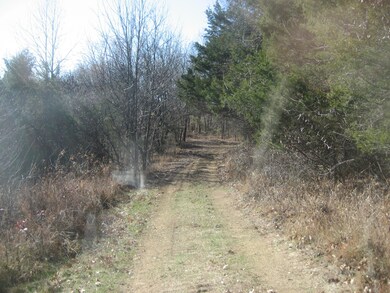 1433 Seaville Rd, Willisburg, KY 40078 - photo 4