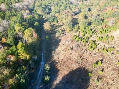 00 Virginia Rd, Dorchester, SC 29437 - photo 4