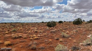 IMG_9848 (1)