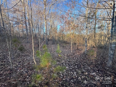 000000 Pinnacle Church Rd, Nebo, NC 28761 - photo 3