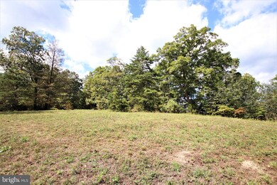 0 Hawks Nest II unit WVMO116280, Berkeley Springs, WV 25411 - photo 4